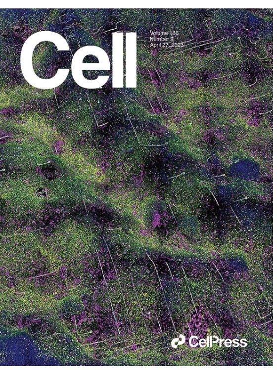 Cell 2023 cover: in situ electro-sequencing
